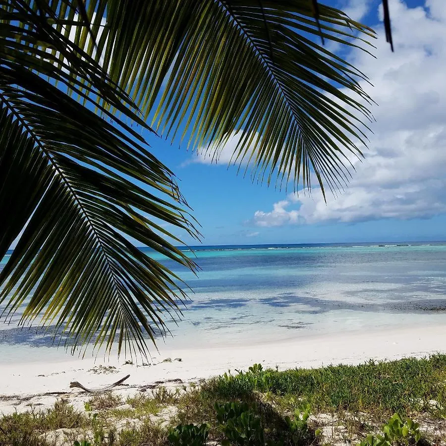 Saona Lodge Mano Juan