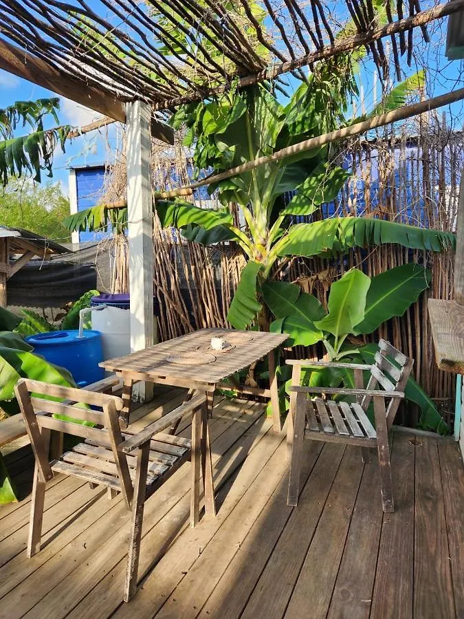 Saona Lodge Mano Juan