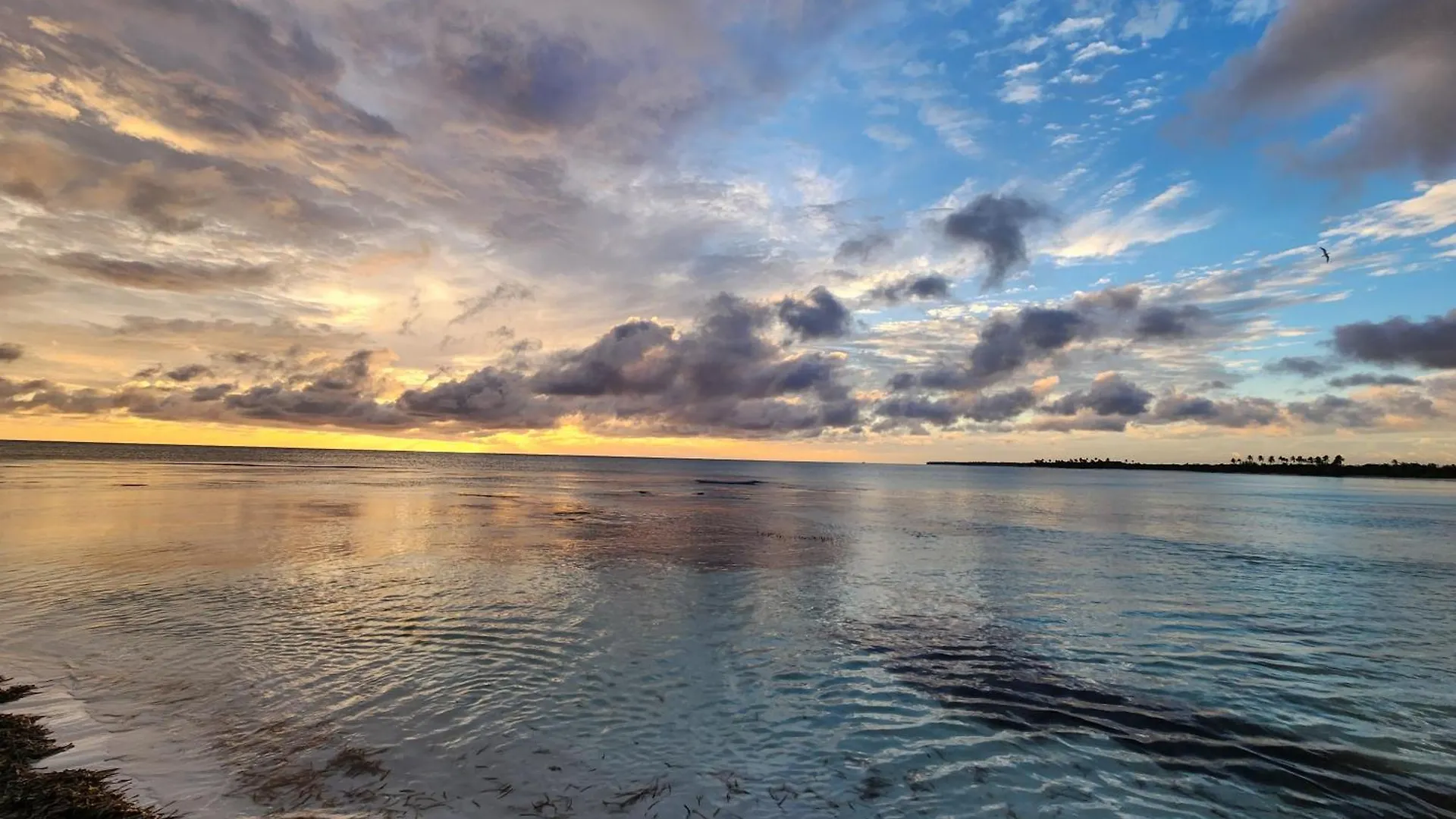Saona Lodge Mano Juan Dominican Republic